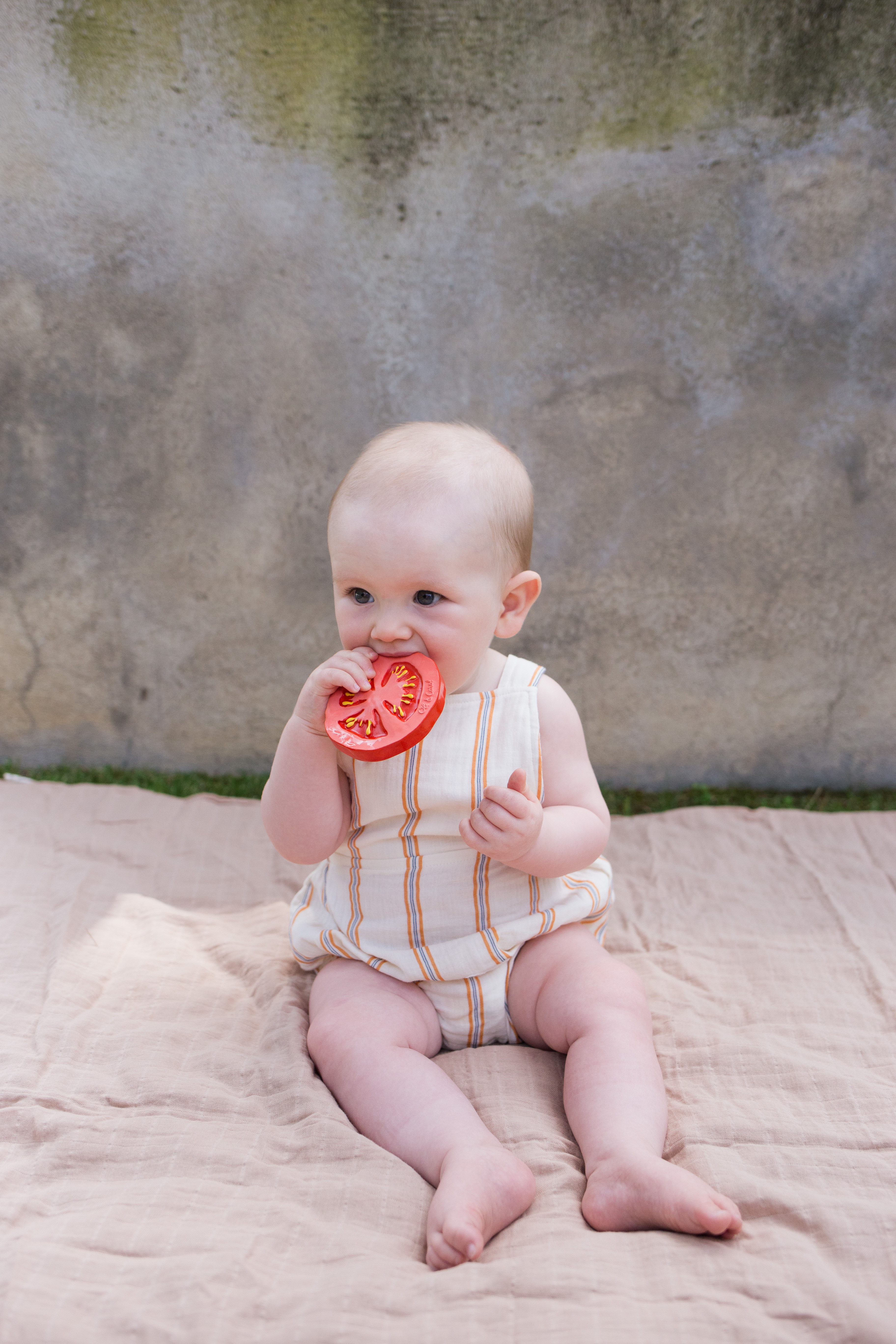 Oli&amp;Carol RENATO THE TOMATO