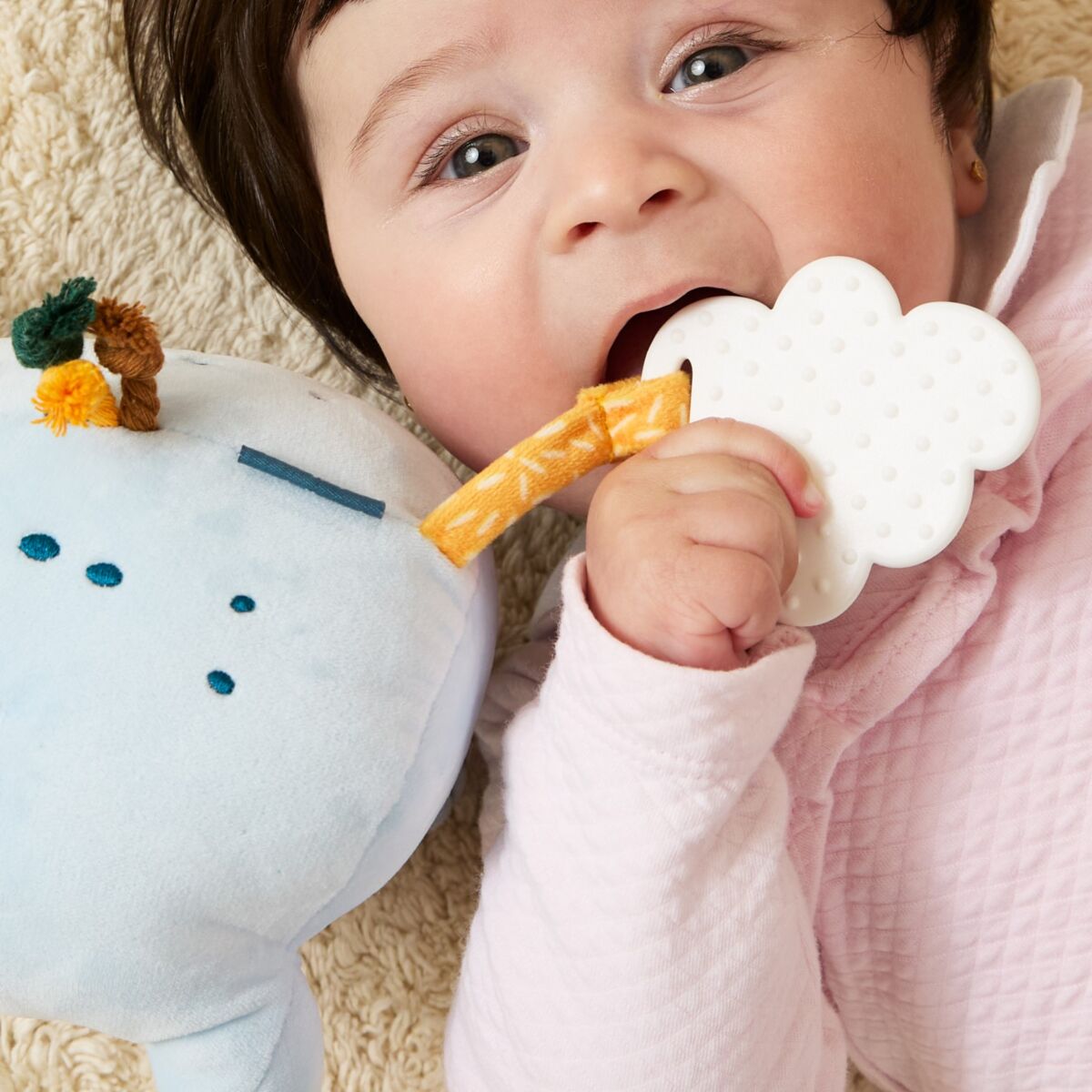 MINILAND SENSORIAL - PELUCHE KOALA