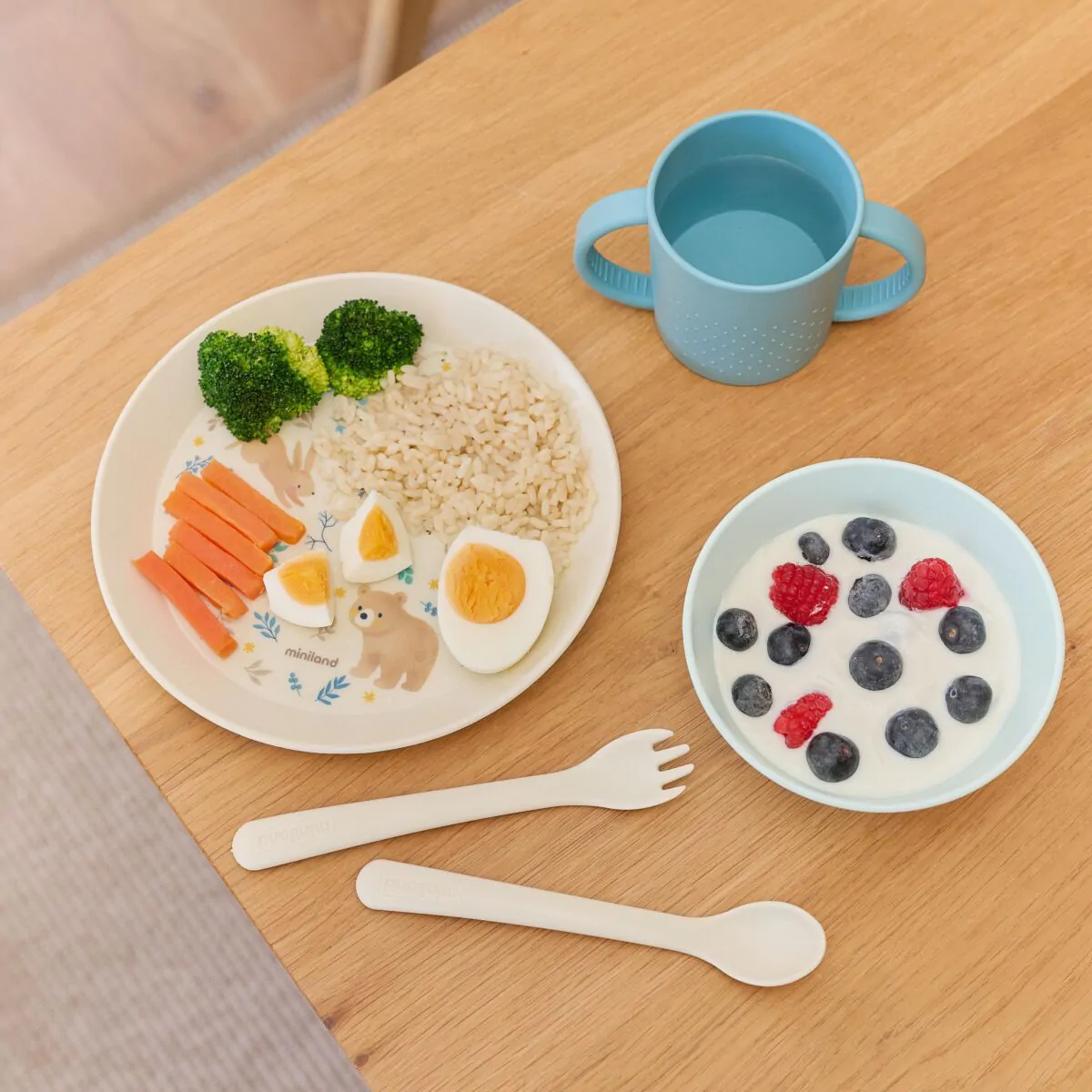 MEALSET DREAMLAND