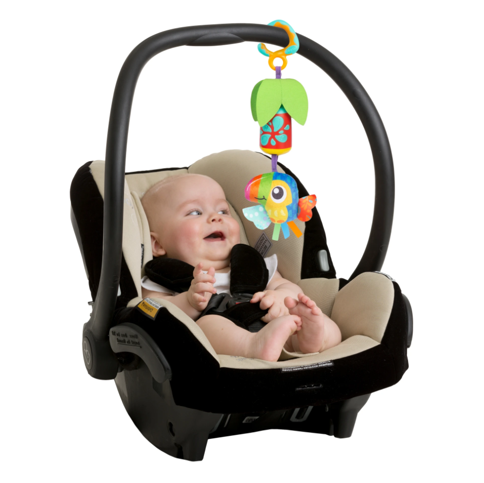 TAMICA TOUCAN CHEEKY CHIME