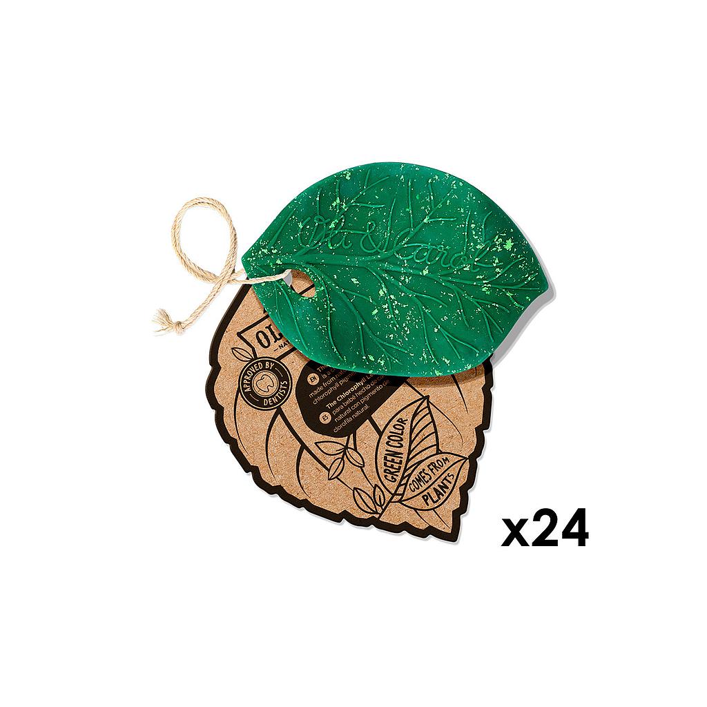 Oli&amp;Carol CHOROPHYLL LEAF