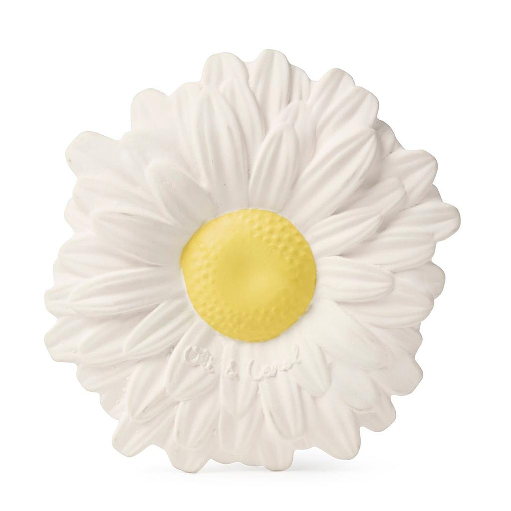 Oli&amp;Carol MARGARITA THE DAISY