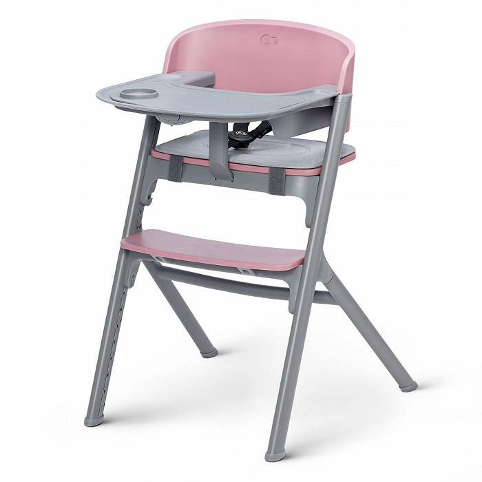 TRONA EVOLUTIVA LIVY ASTER PINK