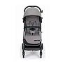SILLA DE PASEO COMPASS 2.0 T202